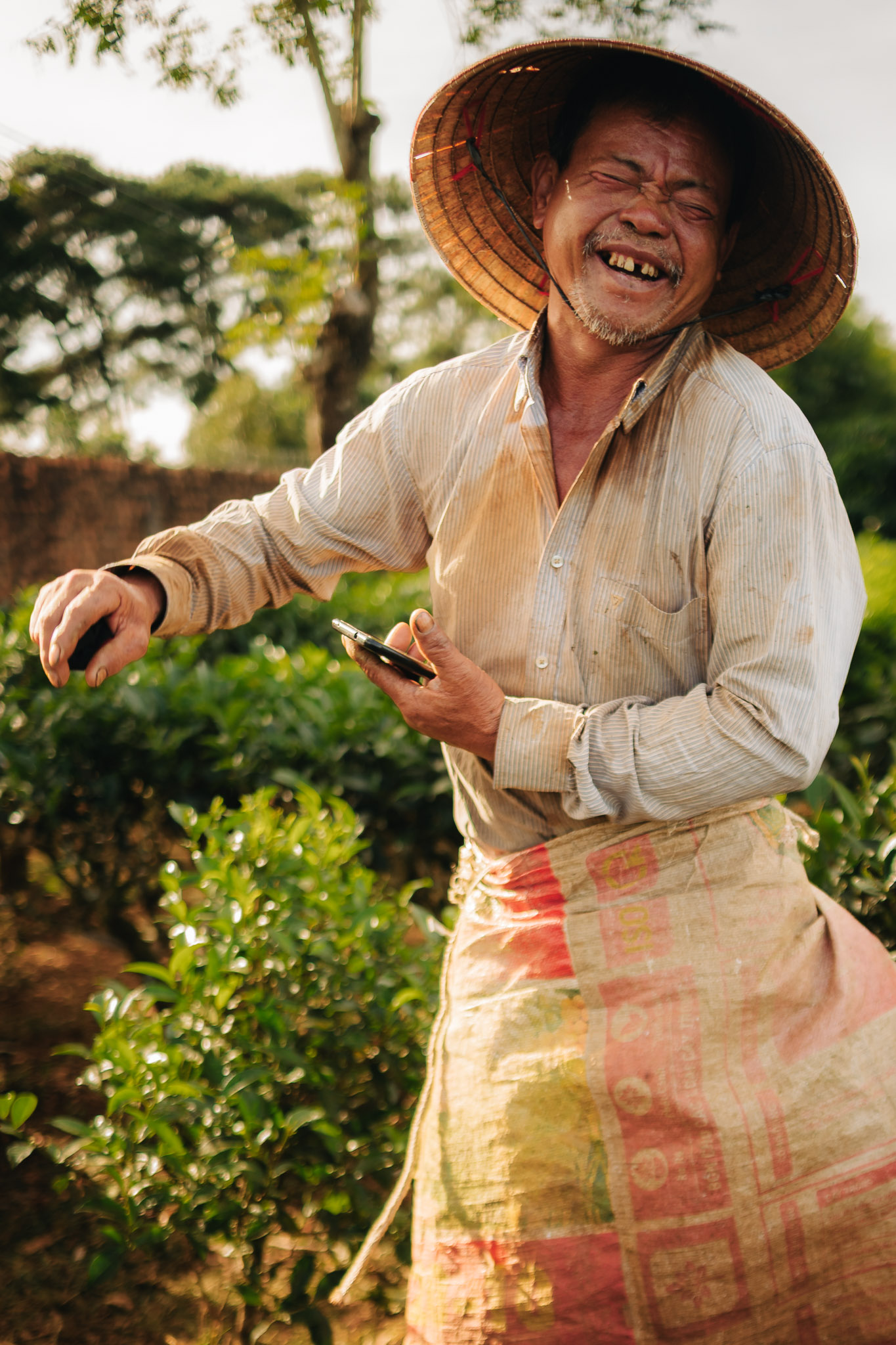 Vietnamese tea farmer laughing
