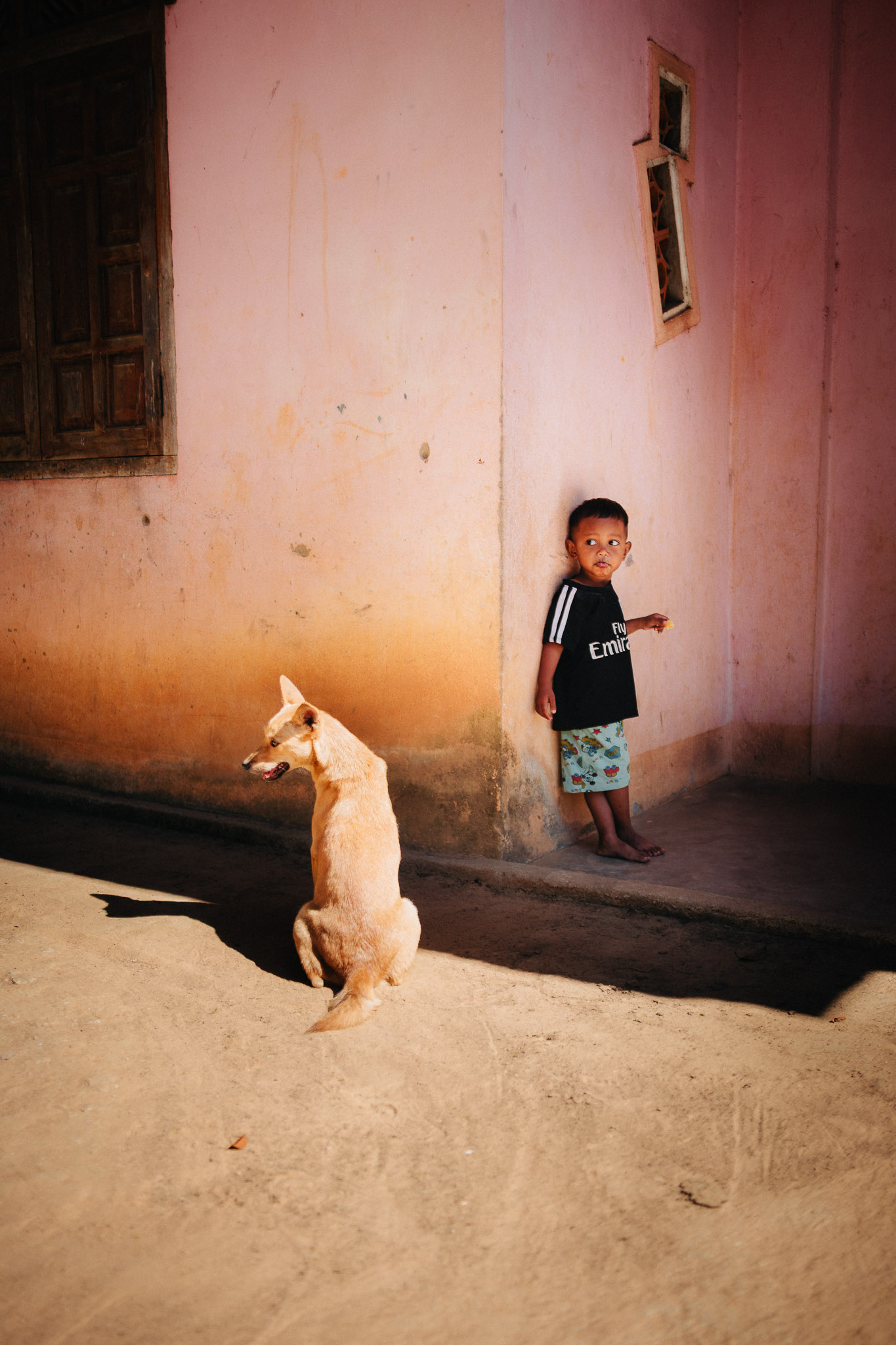 vietnamese kid in a village in central vietnam with a dog